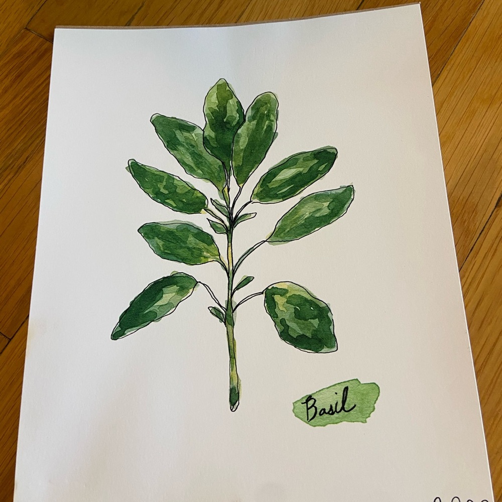 Basil kitchen paper print